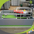 Porco Galvanizado Farrowing Crates Piggery Farm Equipamentos Pig Farrowing Canetas para Venda